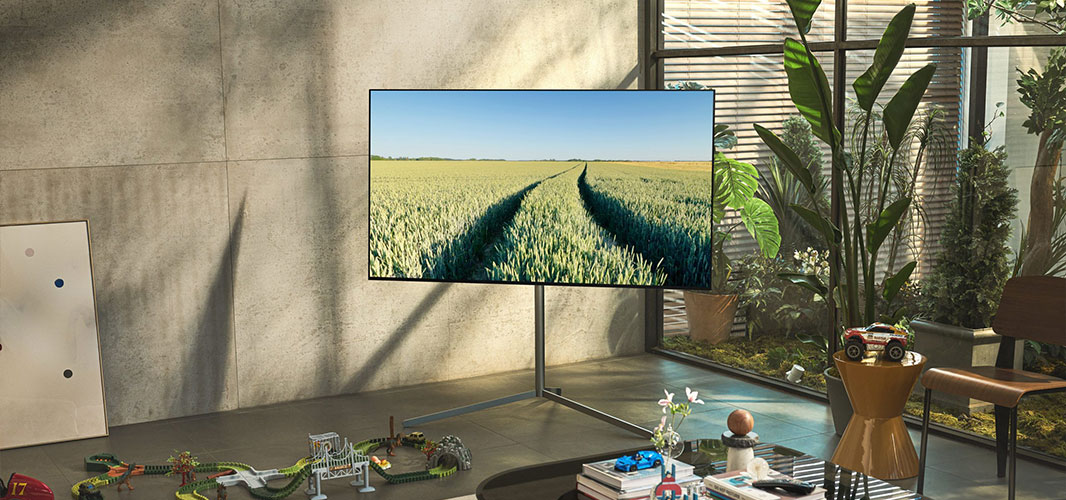 image of TV and plants in the living room where sunlight comes in