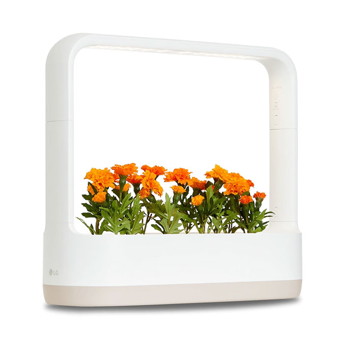 LG open-type, freestanding indoor gardening appliance Tiiun Mini
