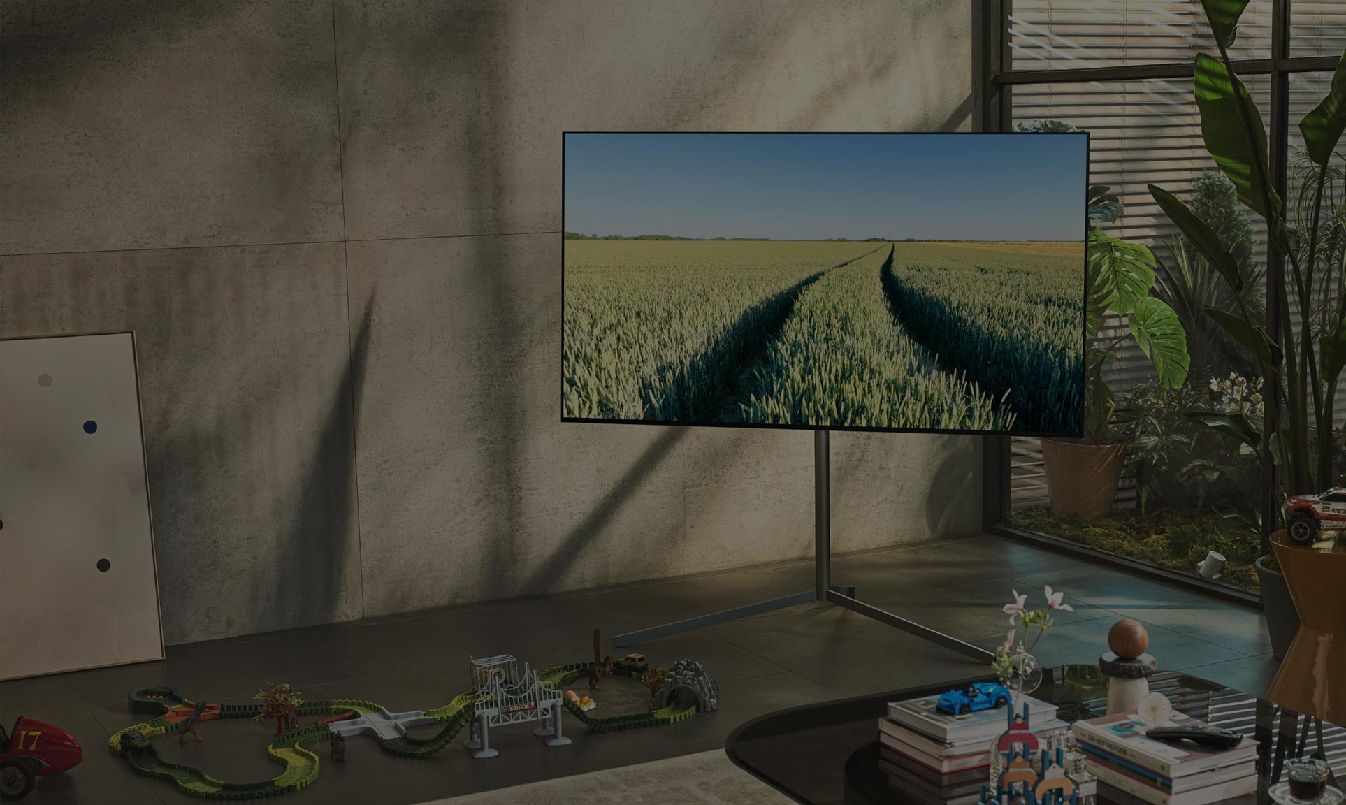 image of TV and plants in the living room where sunlight comes in