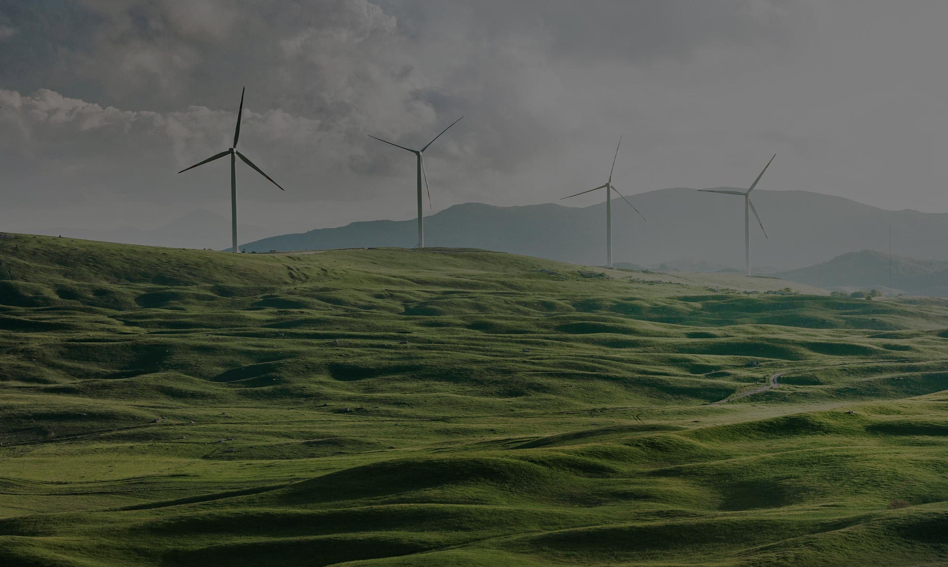 image of several wind turbine generators on the hill